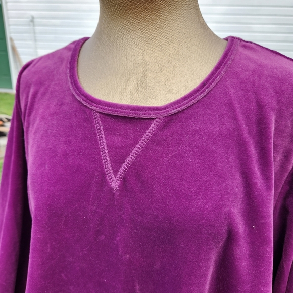 Woman Within Plush Velvet Long Sleeve Top Purple Wine colored Size 1X - Picture 5 of 6